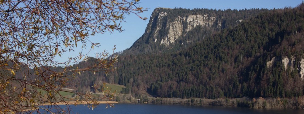 Parti Socialiste Vallée de Joux